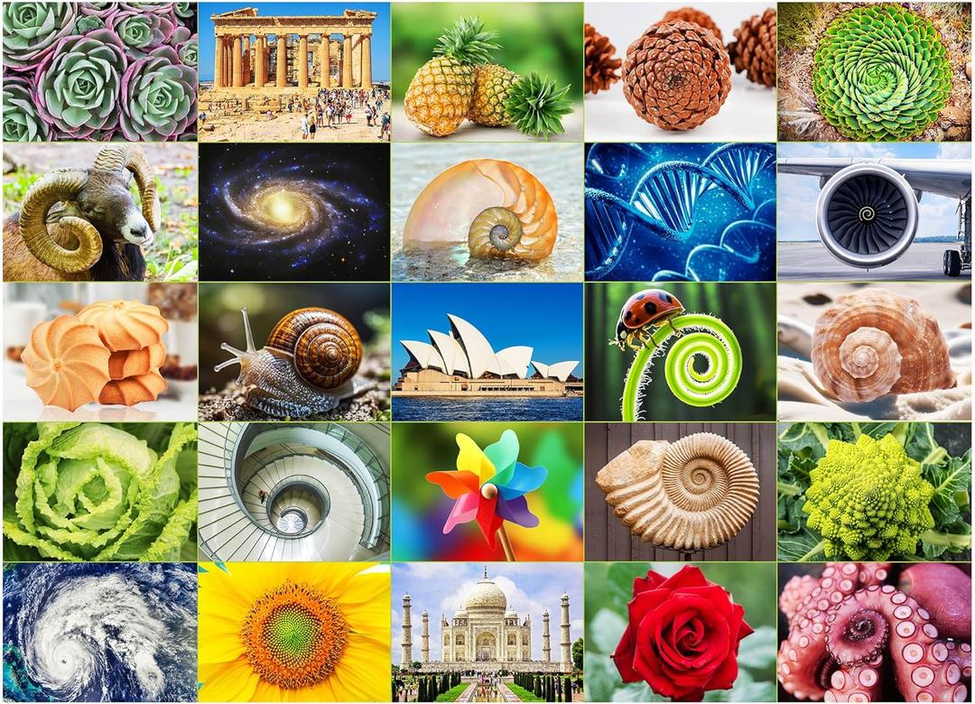 BenBen 1000 Piece Puzzle for Adults, 25 Fibonacci Spirals in Nature, Jigsaw Puzzles with Letters on Back, Challenging Puzzle for Game Night Home Dcor