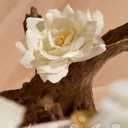 Artificial Flowers Fake Rose Combo Box Set Ivory White Silk Flowers Camellia White Dahlia Leaf with Stems for DIY Wedding Bouquets Table Centerpieces Baby Shower Party Home Bridal Decorations