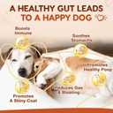 ZEBORA Probiotics for Dogs, Dog Probiotics, for Digestive Health, Plus Pumpkin and Fish Oil, for Gut & Itchy, 180 Soft Chews