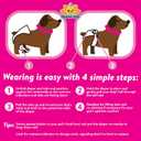 Bodhi Dog Disposable Female Dog Diapers - Super Absorbent Dog Diapers for Female Heat Cycle - Adjustable Fit Pee Wraps for Potty Training, Moisture Control & Wetness Indicator - Extra Small (20 Count)