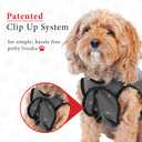 BellyGuard Recovery Suit for Dogs, Comfy Dog Surgery Suit, Female Spay and Male Neuter Onesie for Post-Op Care (Large, Grey)