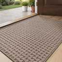DEXI Front Entryway Door Mat Non Slip 24x36, Washable Entry Way Mats Inside Entrance Low Profile, Welcome Doormat Dirt Trapper for House Floor Home Porter Hall Backdoor Area, Light Taupe