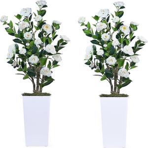 2Pack Artificial Camellia Tree with White Tall Planter 4FT Faux Camellia Plant in Pot with White Flowers, Greenery Potted Plant for Indoor Outdoor Office Home Porch Decor