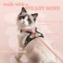 rabbitgoo Cat Harness and Leash for Walking, Escape Proof Soft Adjustable Vest Harnesses for Cats, Easy Control Breathable Reflective Strips Jacket, Light Salmon Pink, XS