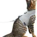 Cat Harness and Leash for Walking Escape Proof Breathable Mesh Fabric, Solid Grey, Extra Large, Adjustable Cat Walking Jackets, Padded Stylish Cat Vest (XL  11LBS)