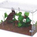 NANEEZOO Magnetic Acrylic Enclosure 10x6x6 Inch Tall Long Case Reptile Habitat Terrarium cage for Terrestrial Arboreal Tarantula Scorpion Sling Isopods Lizards Invertebrates Insect Mantis