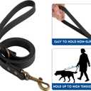 Wisedog Waterproof Dog Collar and Leash Set, Adjustable Puppy Collar with Cute Tag 4FT Dog Leash with Poop Bag for Small Dogs (S, Black)