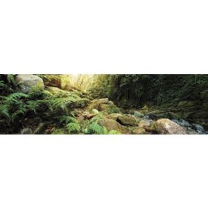 Galpagos (05400) Terrarium Background Clings, 11.125" x 36", Woodland