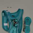 YIMEIS Dog Harness and Leash Set, No Pull Soft Mesh Pet Harness, Reflective Adjustable Puppy Vest for Small Medium Large Dogs, Cats (Turquoise, Medium (Pack of 1)