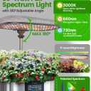 LetPot LPH-Max Hydroponics Growing System Kit, 21 Pods APP & WiFi Automatic Controlled Smart Indoor Garden with 36W LED Grow Light, Auto Drip Irrigation Kits, Self-Managed Nurturing & Watering