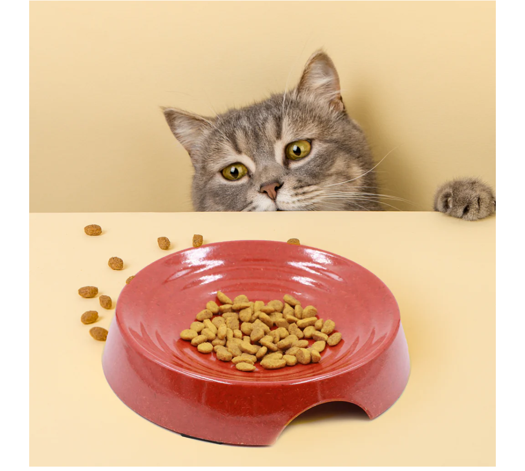 Cat Bowls, Whisker Friendly Cat Food Bowl for Indoor Cats, Reliefs Whisker Fatigue, Wide Pet Bowl, Non Slip Pet Feeding Bowls, Shallow Kitten Dish