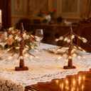 Bluesea Brown Birch Tree with LED Lights, Tabletop Tree with Snowflake Decorations, Battery Powered Timer Money Tree, Christmas Decorations Lighted Tree for Indoor Home Decor (1 PCS)