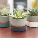 Assorted Nordic Cement Succulent Pots 3.5" Planters with Drainage | 3 Pack