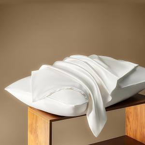 BPC 100% Mulberry Silk Pillowcases 2 Pack, Grade 6A ClimaSilk Silk Pillow Cases King Size, Both Sides, 600 Thread Count, with Hidden Zipper (20"x36", White)