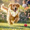 3Pcs Spring Summer Dog Bandanas Reversible Dog Holiday Scarf Adjustable Triangle Pet Bandanas for Medium Large Puppy Pet Decorations