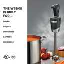 Waring (WSB40) 10" Medium-Duty Quik Stik Plus Immersion Blender,Black/Silver