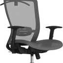 FLEXISPOT Ergonomic Office Chair, High Back Mesh Swivel Computer Chair, Executive Office Desk Chairs, with Adjustable Lumbar Support/2D Headrest/Lockable Backrest, OC3 Mesh Seat, Gray (Grey)