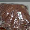 Funziez! Adult Onesie Halloween Costume Animal Dinosaur Shark Unisex Plush One Piece Cosplay Suit for Adults, Men and Women (XX-Large, Teddy Bear)