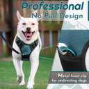 Eagloo Dog Harness Medium Sized Dog, No Pull Service Vest with Reflective Strips and Control Handle, Adjustable and Comfortable for Easy Walking, No Choke Pet Harness with 2 Metal Rings, Dark Green, M