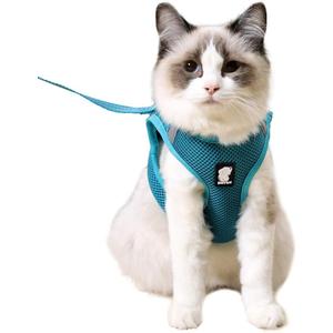 HEYWEAN Cat Harness and Leash - Ultra Light Escape Proof Kitten Collar Cat Walking Jacket with Running Cushioning Soft and Comfortable Suitable for Puppies Rabbits (Large, Turquoise)
