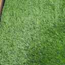 HQ4US Dog Grass Pad with Tray Odor Control Grass Pee Pad for Dog Litter Box