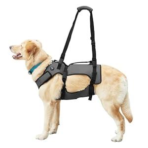 Coodeo Dog Lift Harness, Support & Recovery Sling, Pet Rehabilitation Lifts Vest Adjustable Breathable Straps for Old, Disabled, Joint Injuries, Arthritis, Paralysis Dogs Walk (Black, 2XL)