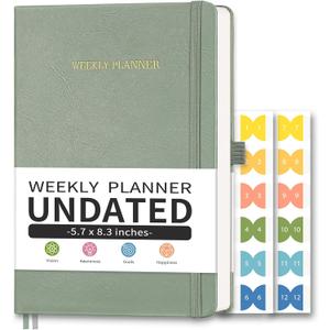 Undated Appointment Book, Hourly, Daily, 52 Weekly & 12 Monthly Planner, 6 AM - 8 PM, Medium Size (5.7" x 8.3"), Leather Hardcover, 12 Self-adhesive Monthly Tabs (Light Green)