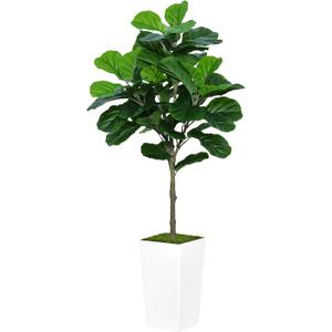 Fiddle Leaf Fig Tree Artificial 5FT - Faux Fiddle Leaf Fig Tree with White Tall Planter - Fake Ficus Lyrata Floor Plant Potted - Artificial Fig Tree for Home Office Living Room Decor Indoor, White Vase
