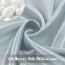 Adubor 100% Silk Pillowcase - Mulberry Silk Pillow Cases, 22 Momme 6A Grade Fibers, Silk Pillow Case for Hair and Skin Health, with Hidden Zipper (Standard 20''26'', Silver Gray, 1PC)