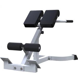 Adjustable Roman Chair, Hyperextension Bench for Back Exercise, White, Steel Frame, Multi-Position Core Training Equipment, Home Men Women Full Body U-Shaped Base