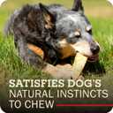 Redbarn Pet Products Bully Slices Peanut Butter Flavor Rawhide Dog Chews Long Lasting Premium Grain-Free Beef Hide Dental Treats for Medium and Large Dogs 9 oz Bag (EXP 03/23/28)