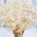 2000+ Dried Babys Breath Flowers Bulk - 17" Ivory White Dried Flower Bouquet, Real Natural Gypsophila Branches for Vase Filler, Wedding, Table Centerpiece, Home Decor, DIY Wreath Floral, Crafts