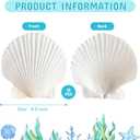10Pcs 4-5 Sea Shells Natural Scallop for Crafts - DIY Jewelry Holder Large Painting Beach Decorations Ocean Themed Sea Party Wedding Shell Bowl