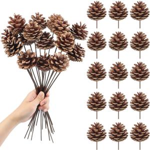15pcs Natural Pine Cones Decoration 30CM Pine Cones Ornaments with Stem Pine Cone Picks for Christmas Tree Ornament Vase Party Holiday DIY Craft Home Decoration