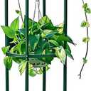 100% Metal Obelisk Garden Trellis 6.3 Feet Tall Sturdy Plant Support for Climbing Vines and Flowers Stands,1pc Upgrade (Green, Large)