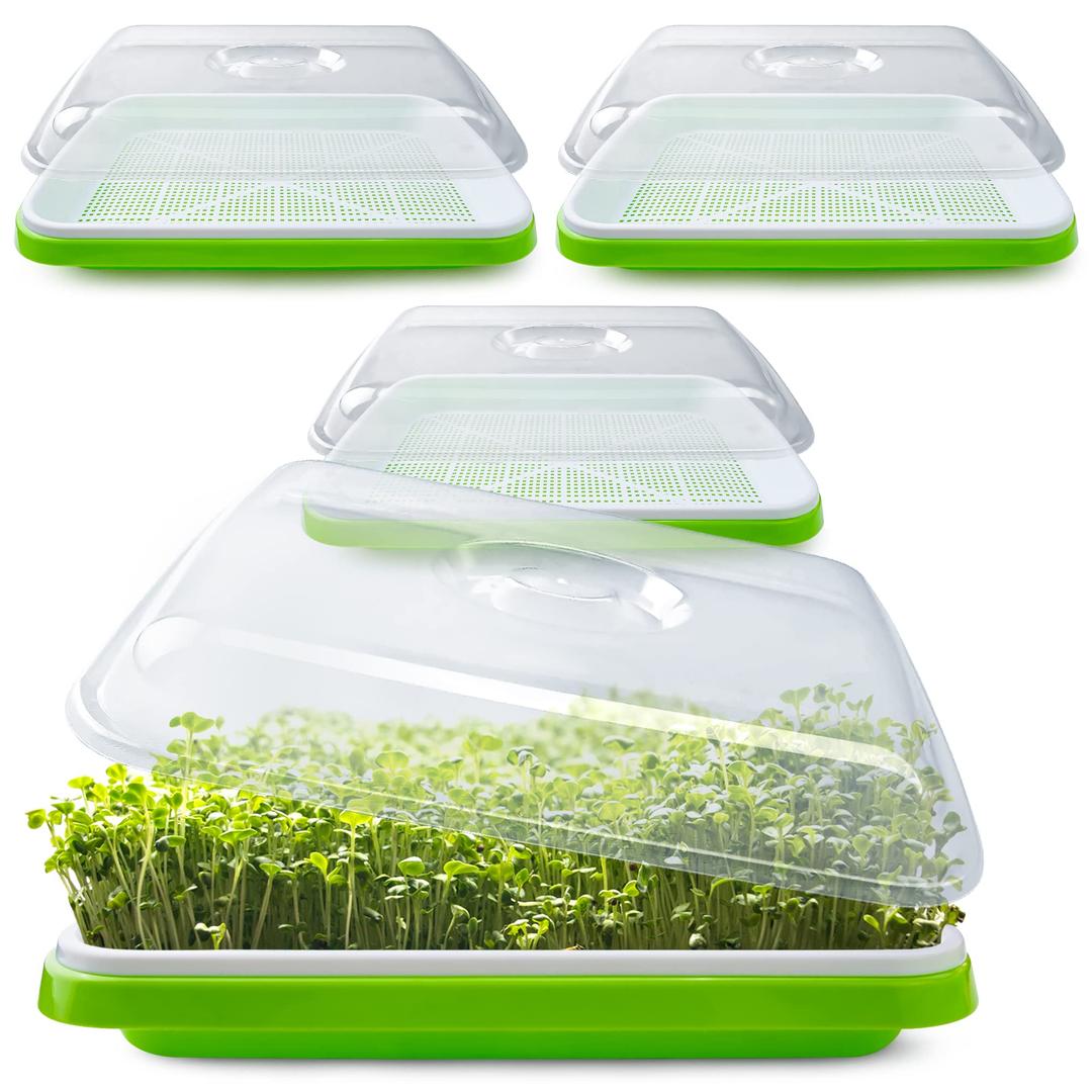 Seed Sprouter Tray with Drain Holes,Seed Germination Tray Kit BPA Free Nursery Tray,Soil-Free Big Capacity Healthy Wheatgrass Grower Sprouting Container (3 Pack with lid-Green)