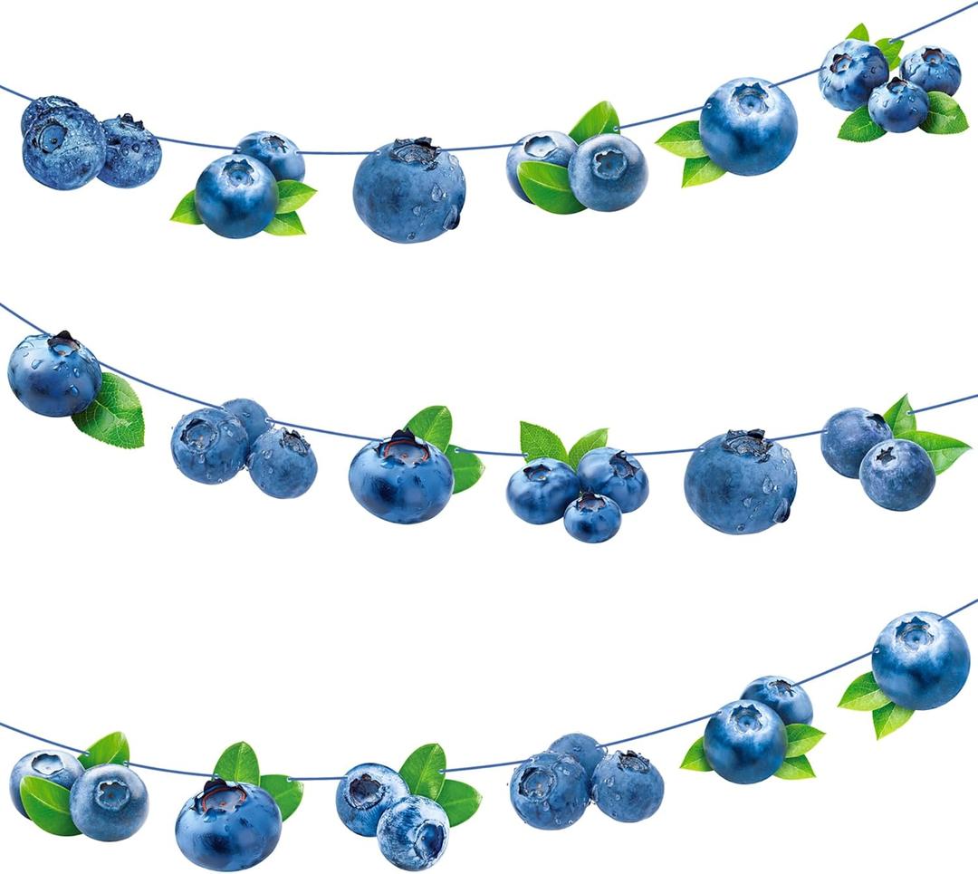Blueberry Party Banners 3Pcs Berry Sweet Birthday Decorations Blueberry Cutout Banners Pre-Strung Berry Themed Baby Shower Decorations for Boys Girls Summer Fruit Birthday Party Supplies