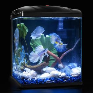 Small Fish Tank, 2 Gallon Glass Aquarium, Betta Fish Shrimp Goldfish Tropical Fish Starter Kit Self Cleaning with Filter & LED Plant Light, Ultra-Quiet Kids Room Decoration Fish Tank (Black)