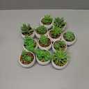 Set Of 12 Succulents Plants Artificial in Pots Small Fake Plants for Bedroom Aesthetic Living Room Office Shelf Bathroom Decor