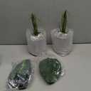 JC nateva 2pcs 16" Fake Plants Artificial Plants Tropical Faux Plants Indoor for Bathroom Kitchen Office Home Sage Green Decor