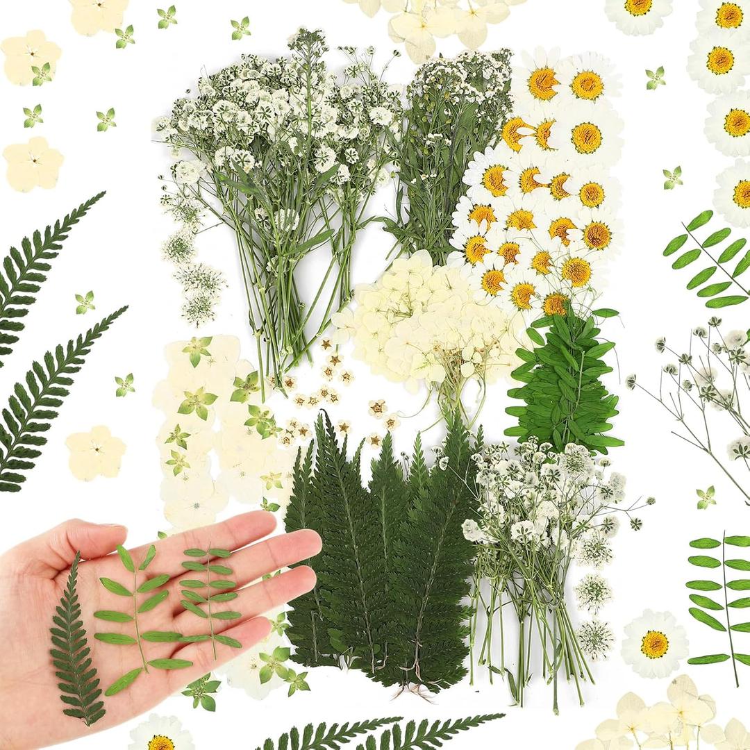 Fabbay 200 Pcs Dried Pressed Flowers Real Dry Natural Flower Leaf Dried Flowers for Resin Pressed Flower Kit for Plant Herbarium Scrapbooking DIY Candle Crafts (White)
