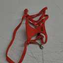 CHEDE No Pull Puppy Harness and Multifunction Dog Leash Set - Soft Adjustable No Choke Escape Proof Cute, Lightweight Pet Vest Harness for Small Dog (XS, Red)