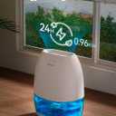 AlohaAir Dehumidifiers for Home, 34 oz Small Dehumidifier for Room, Quiet Dehumidifiers for Bathroom, Bedroom, RV, Closet with Auto Shut Off, 7 Colors Night Light