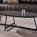 Shrine Wood Coffee Table, Walnut Table for Living Room, Metal Wood Table, 43.3" D x 21.6" W x 15.7" H, Black Wood Base & Metal Frame