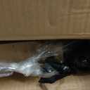 Pyle Speaker Stand Pair of Sound - Play 1 and 3 Holder, Telescoping Height Adjustable from 26 - 52 Inch, High Heavy Duty Three-point Triangle Base w/ Floor Spikes and 9 Square Platform, Black