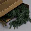 Giegxin 6 Pcs 27.6'' Artificial Christmas Norfolk Pine Branches Real Touch Norfolk Pine Picks Filler Faux Cedar Stem Fake Greenery Picks for Christmas Vase DIY Garland Wreath Home Decoration