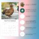 Backyard Chickens 2026 Calendar, 2026 Wall Calendar, Monthly Planner, Planner 2026-2027, Marble City Press, 12 x 24, Sustainable, Plastic Free, Printed on Thick Art Paper