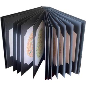 ISHIHARA Color Vision Test Book with 14 Plate with User Manual Occluder