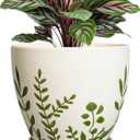 6.8 Inch Plant Pot - Ceramic Planter for Indoor Plants, Flower Pot with Drainage Hole and Saucer, Decorative Boho Round Outdoor Planter, Housewarming Gifts, Garden Room Decor, White