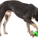 GURU Pet: Adjust-A-Chew - Medium - Dog Toy, Holds Various Shaped Treats & Bones, Bacon-Flavored Textured Ends, Durable Bone-Shaped, Interactive Play